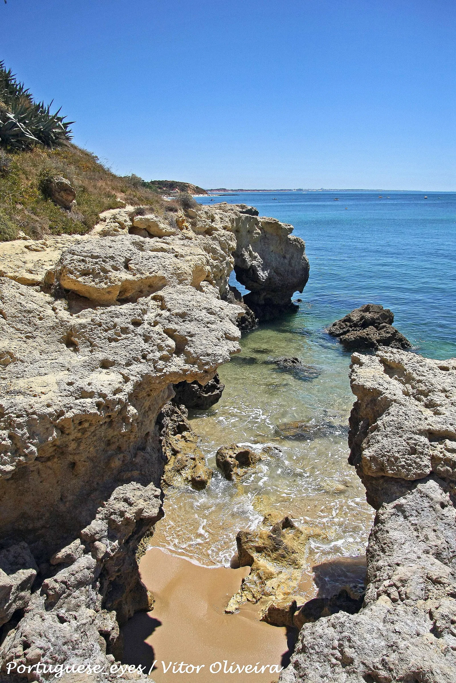Foto: Vitor Oliveira from Torres Vedras, PORTUGAL (CC BY-SA 2.0) via Wikimedia Commons