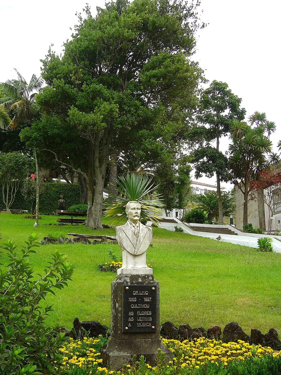 Foto: Vitor Oliveira from Torres Vedras, PORTUGAL (CC BY-SA 2.0) via Wikimedia Commons
