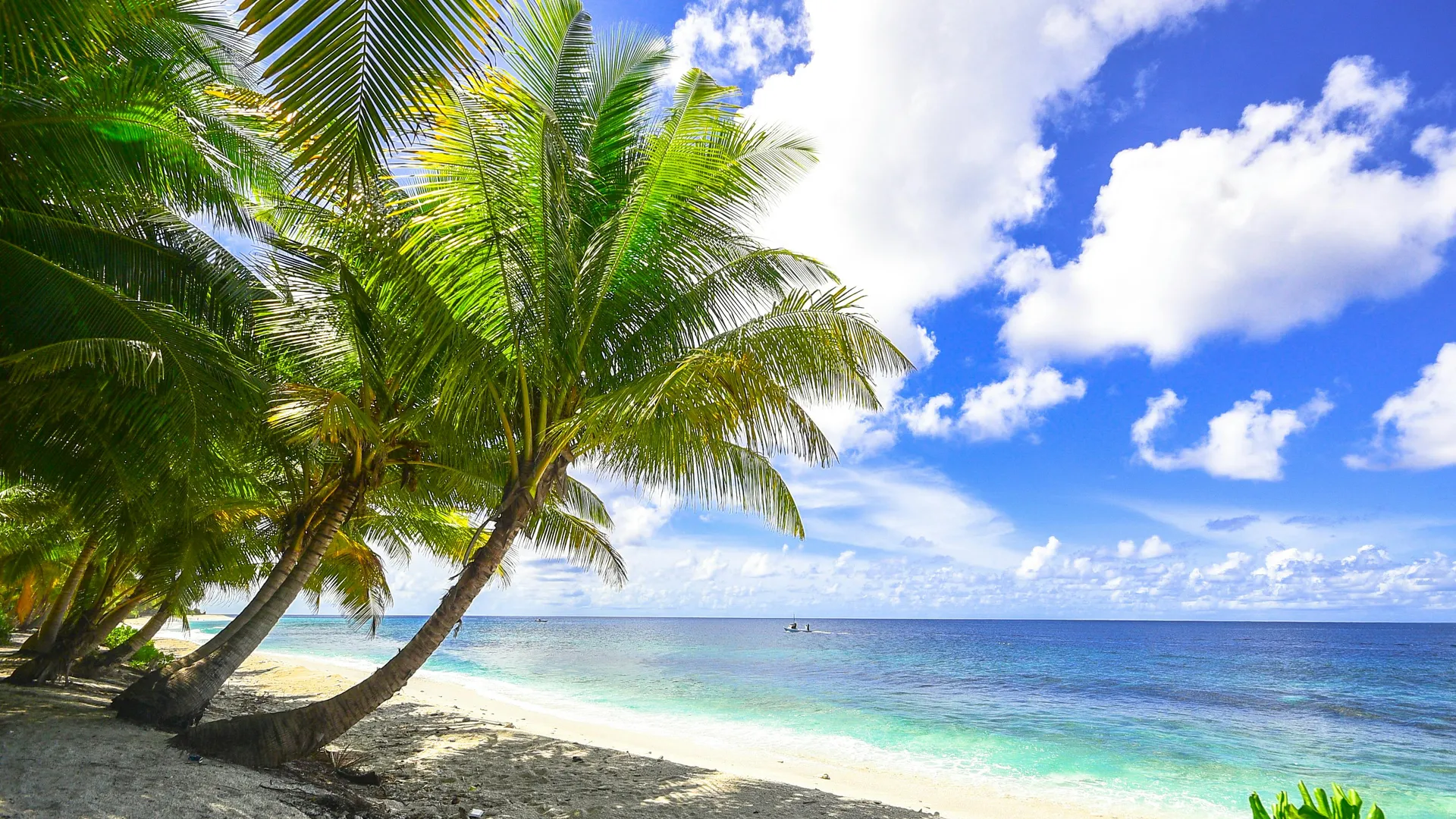 Frühbucher Pauschalreisen 2026: 8 Spartipps für deinen Traumurlaub