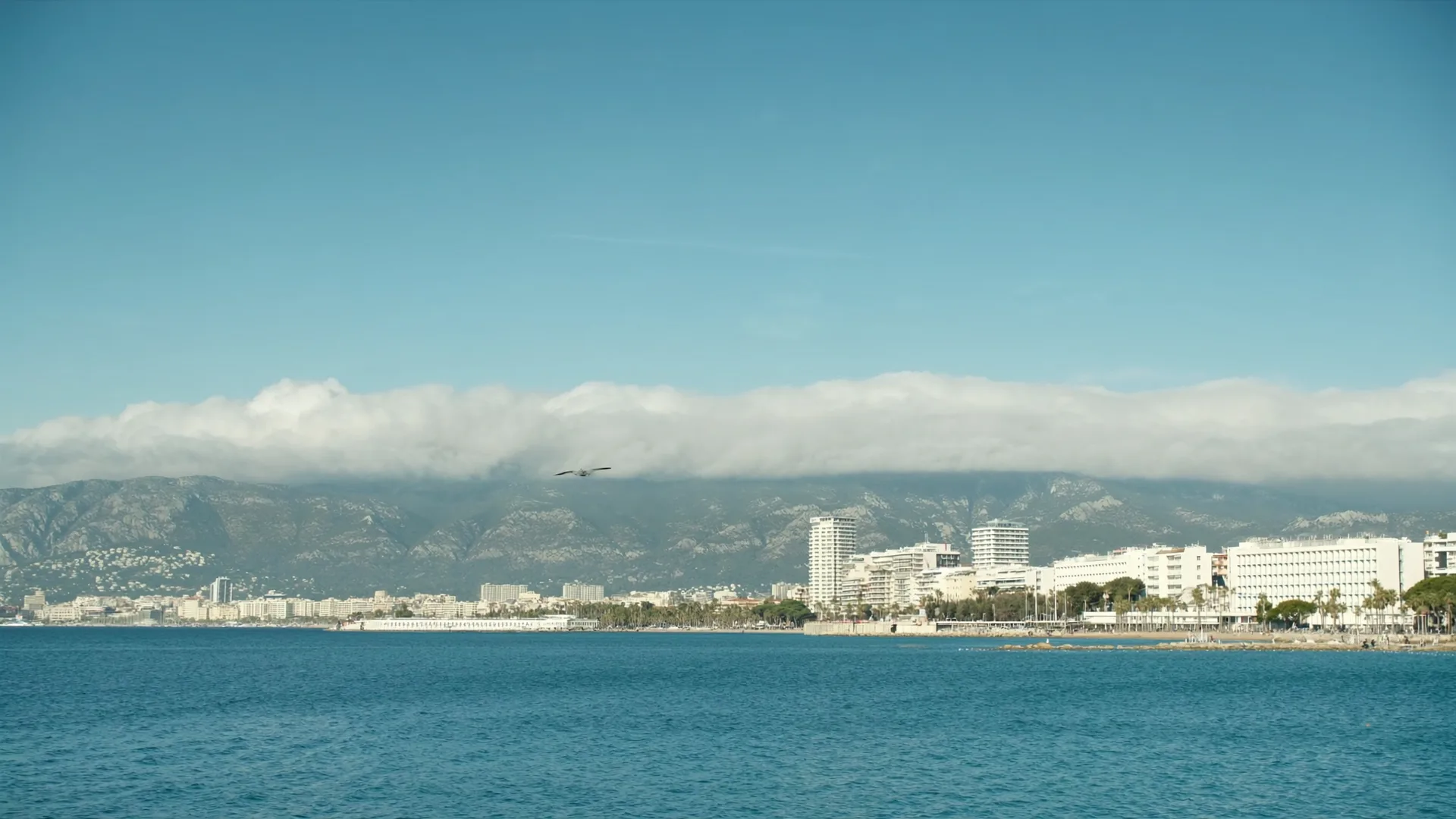 Cannes