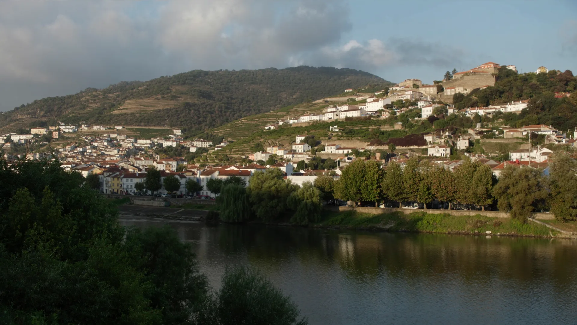 Pinhão.