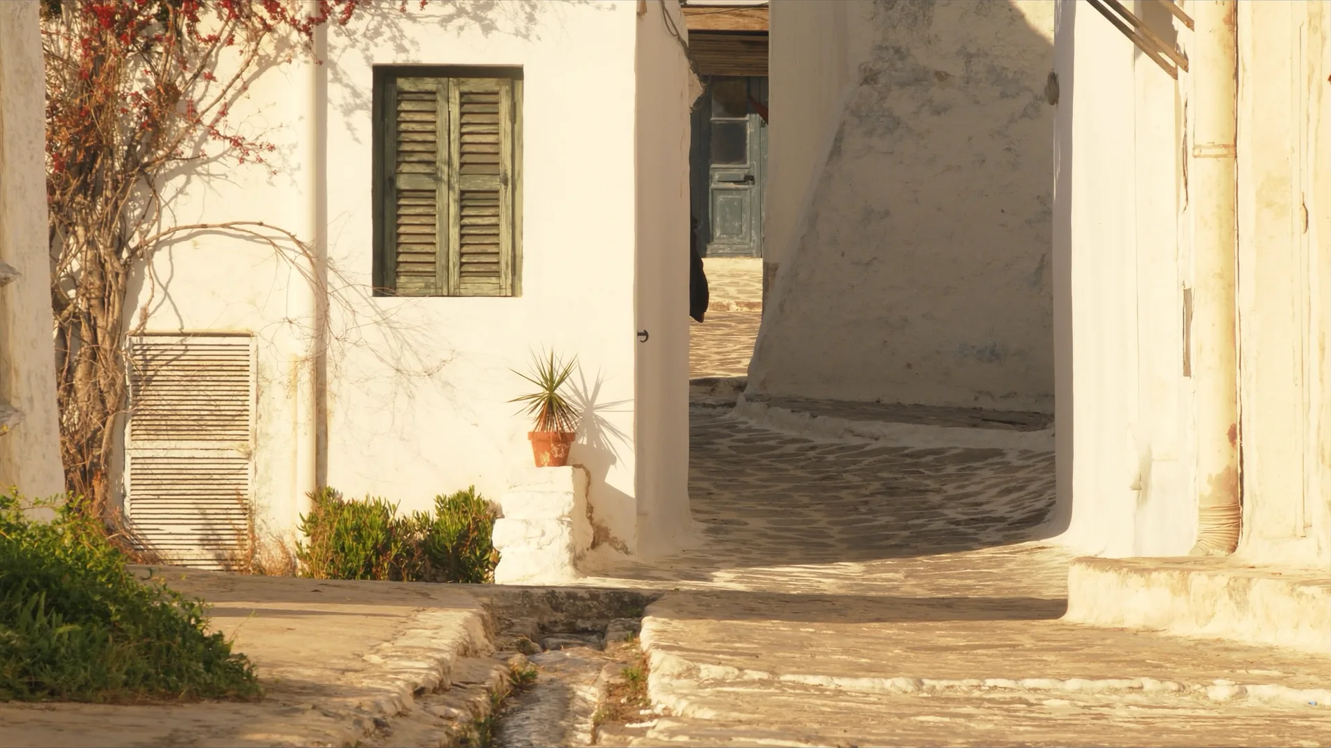 Artemonas