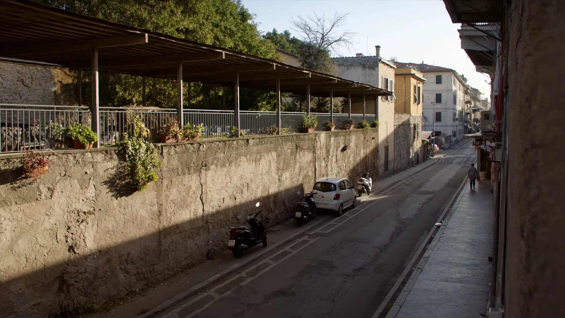 Carignano.