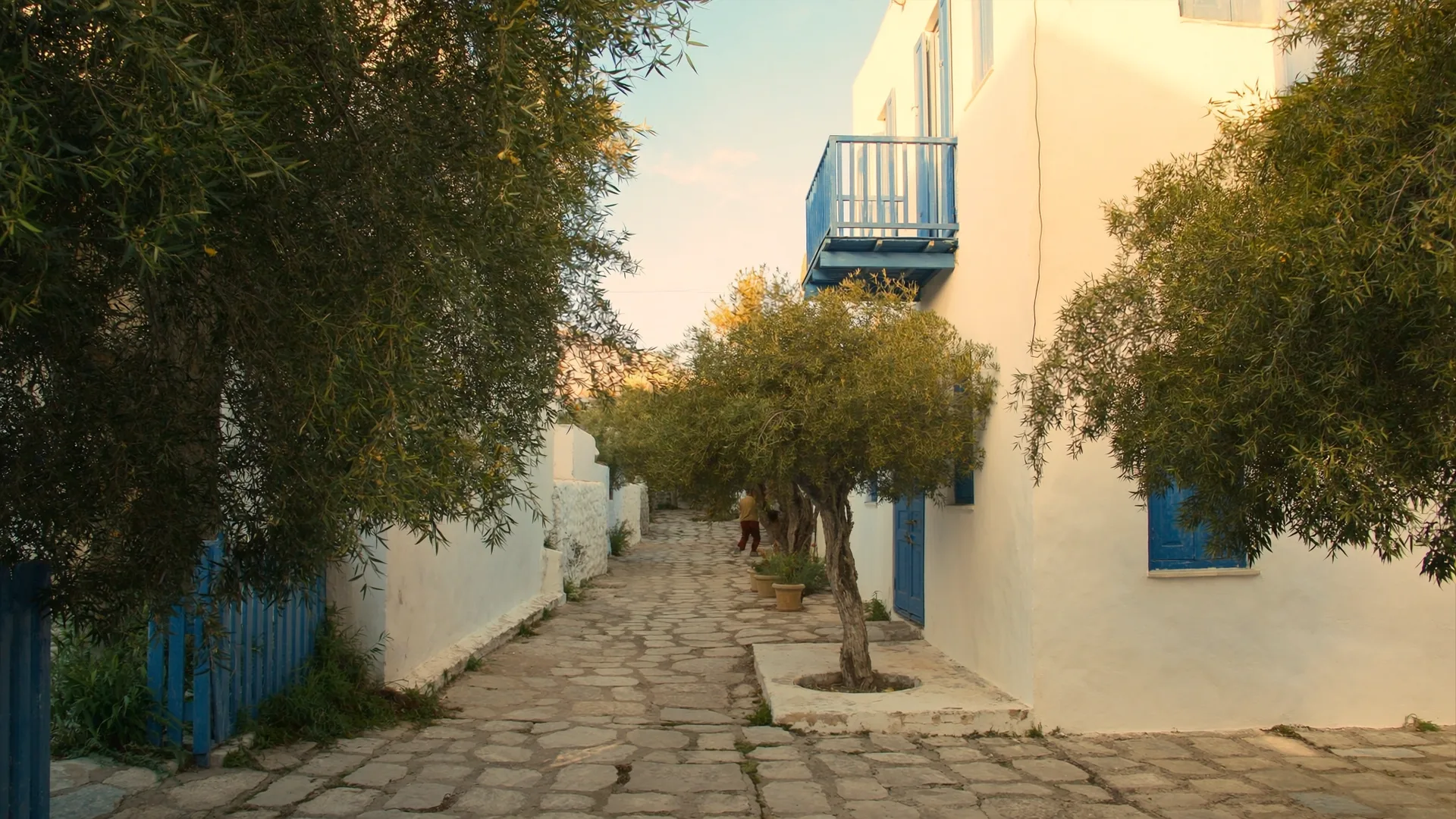 Chora (Skyros-Stadt)