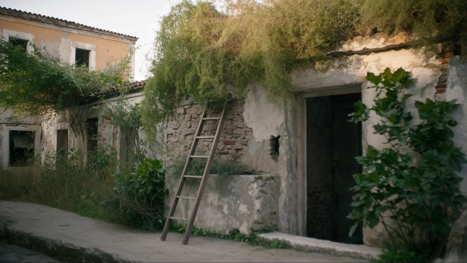 Chorio