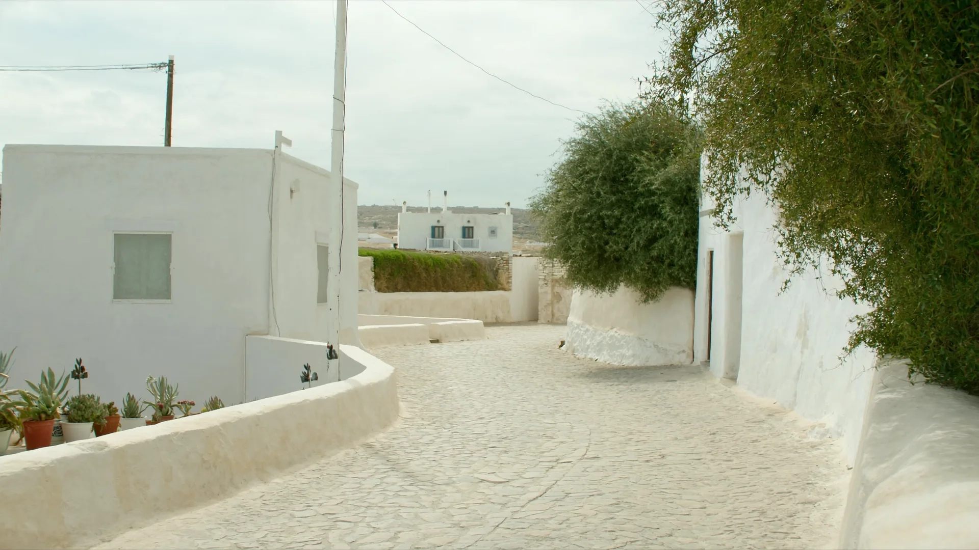 Faros