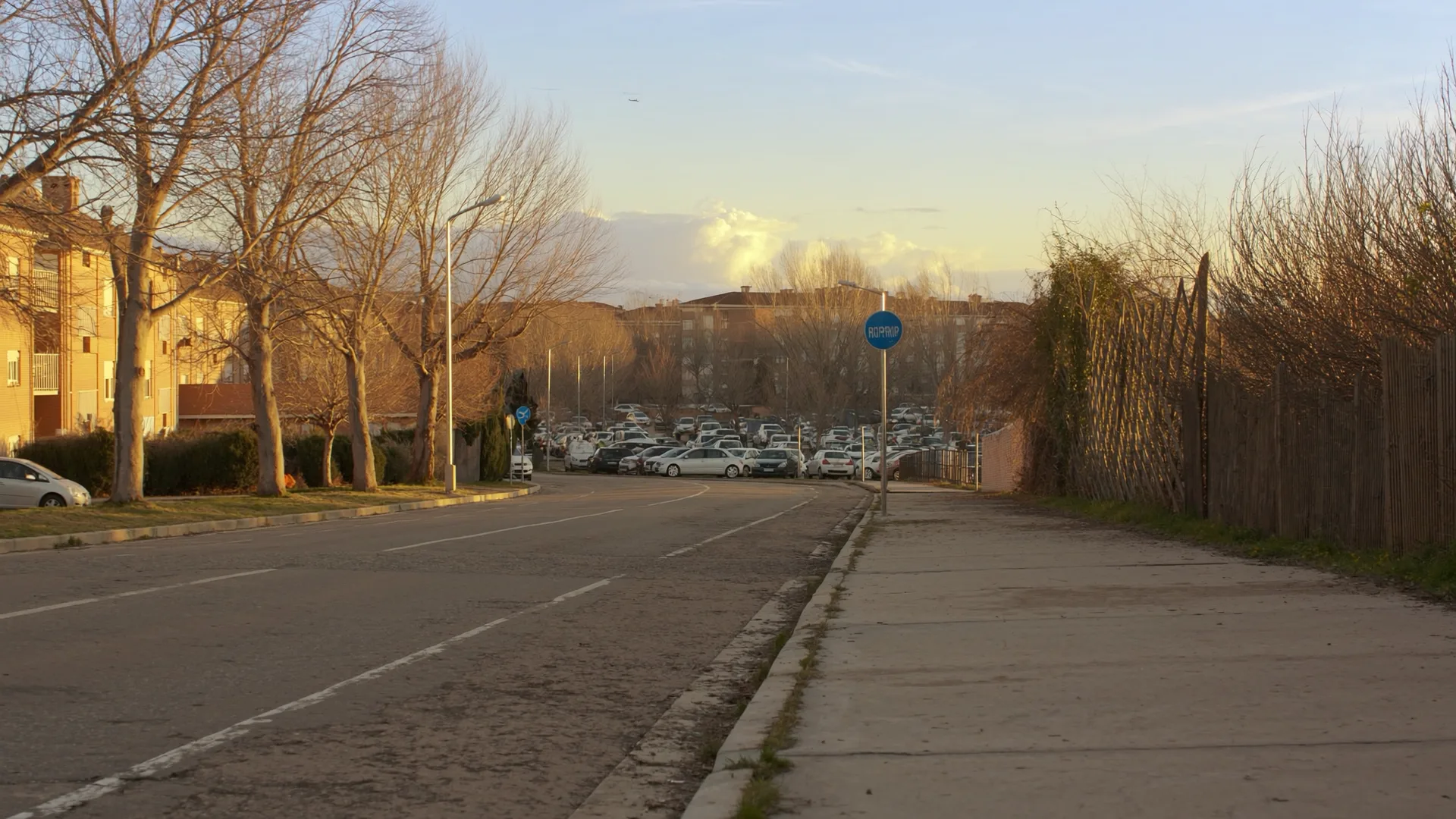 Gamonal