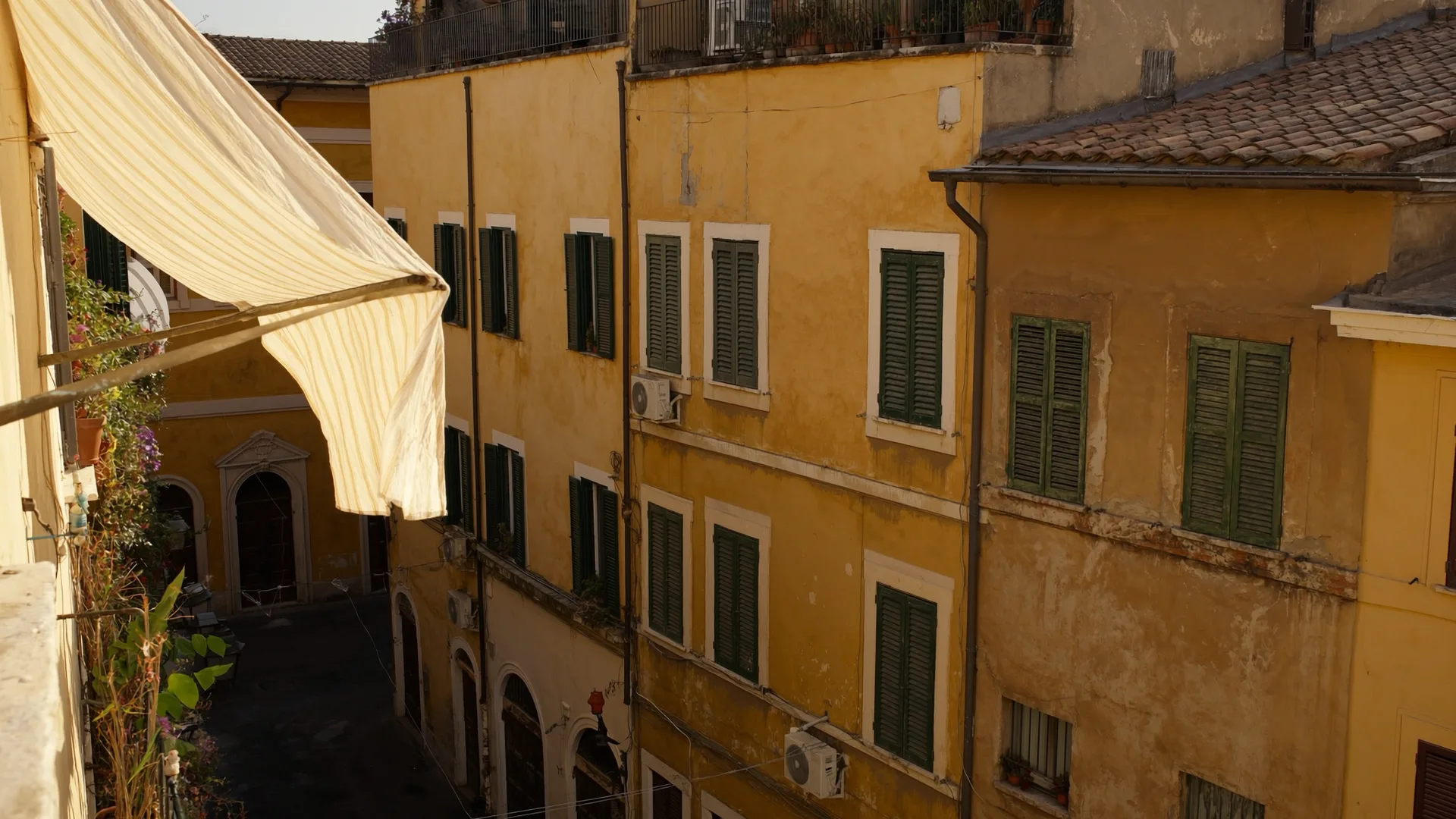 Monti