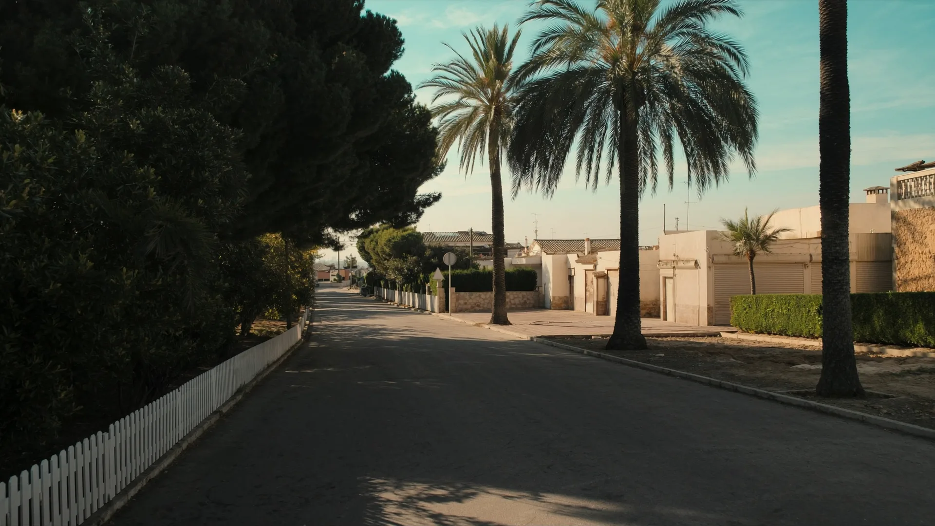 Port d'Alcúdia