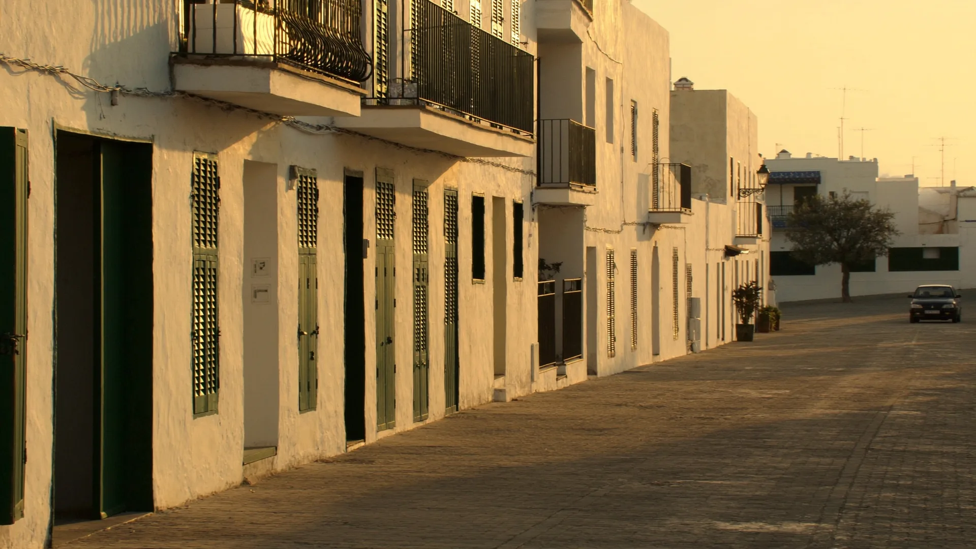 Sant Francesc Xavier.