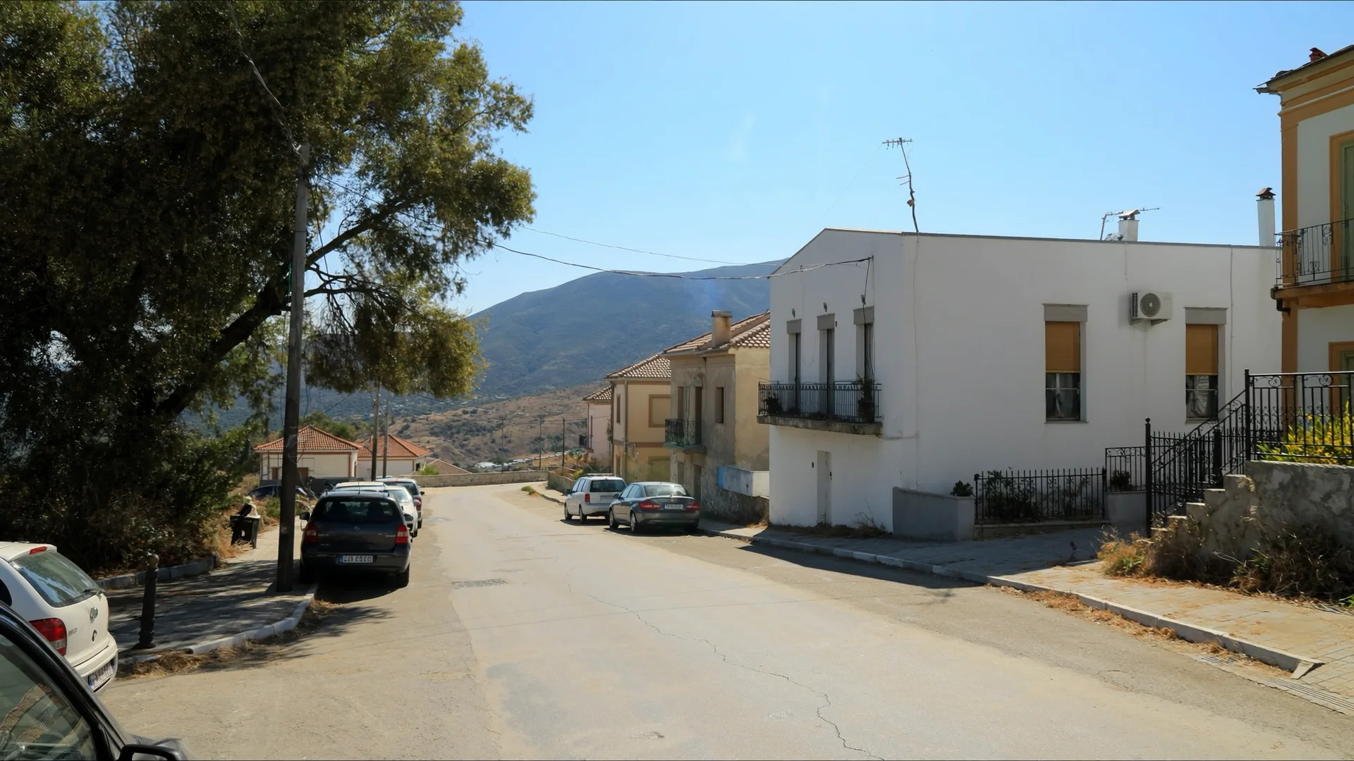 Sarti.