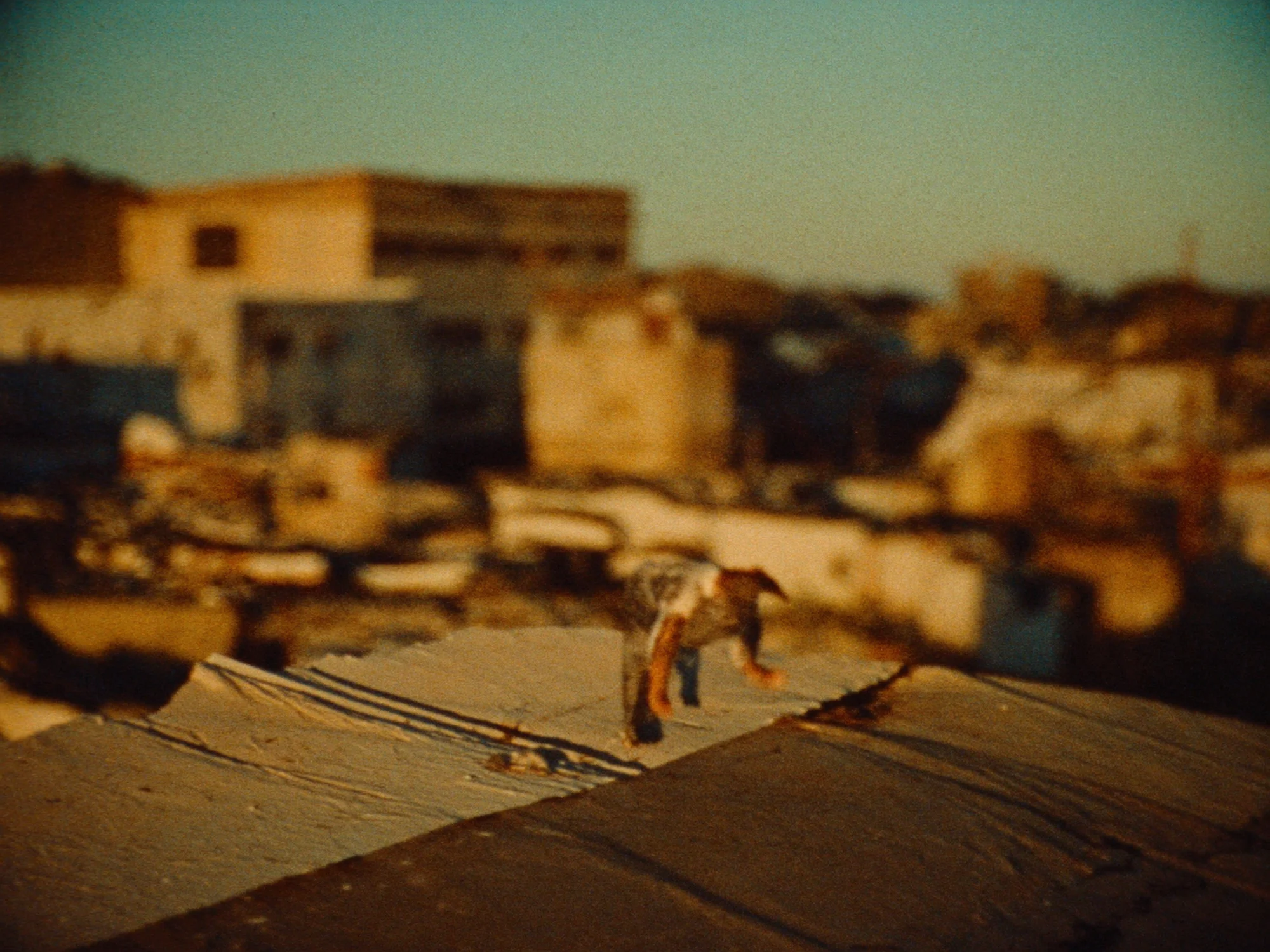 La Boca & Caminito