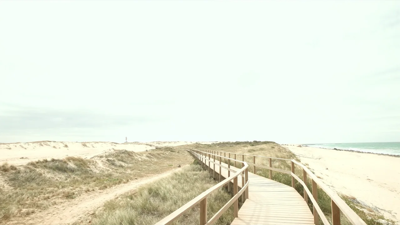 Ilha Deserta