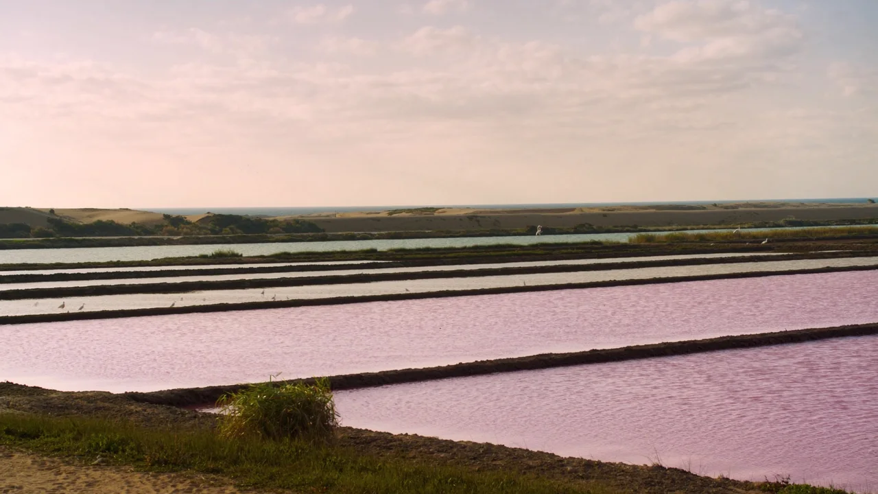 Ses Salines und Estany Pudent