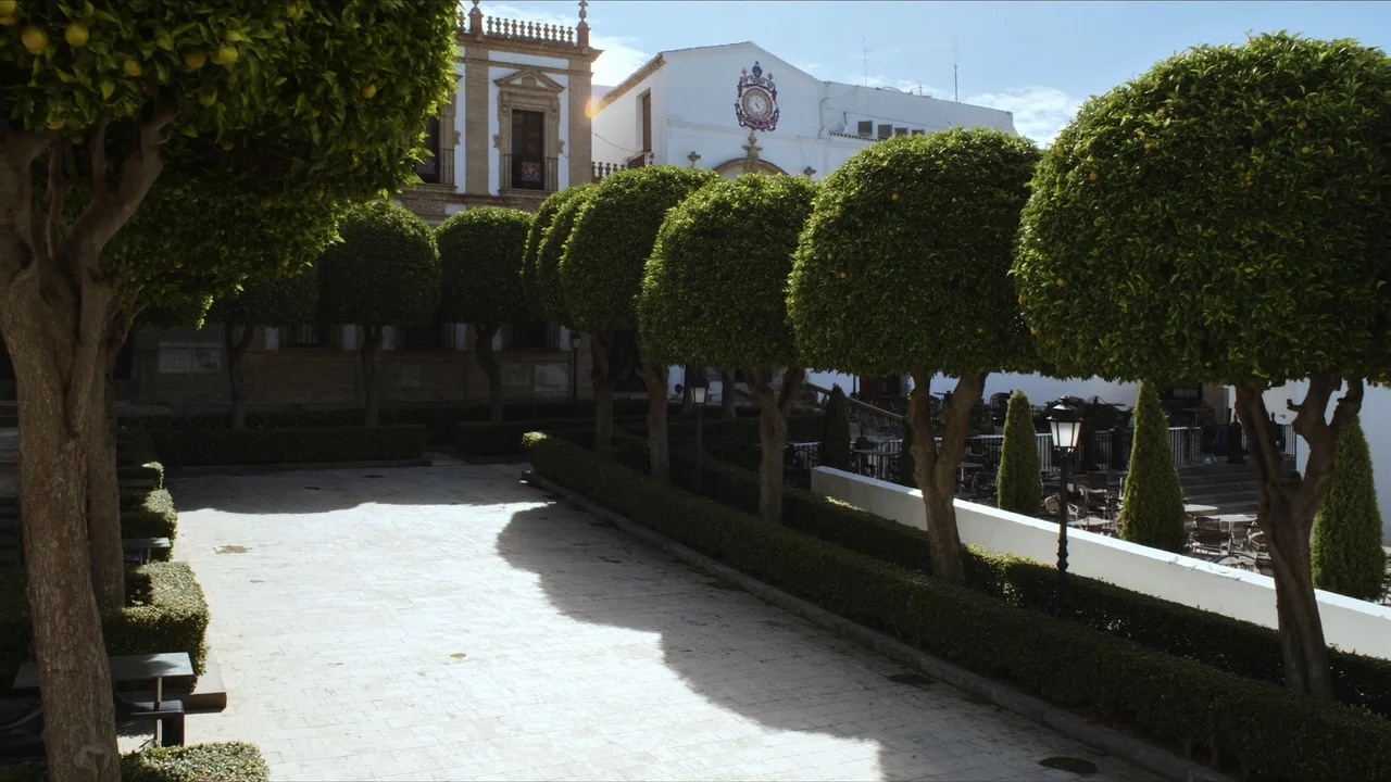 Plaza de los Naranjos