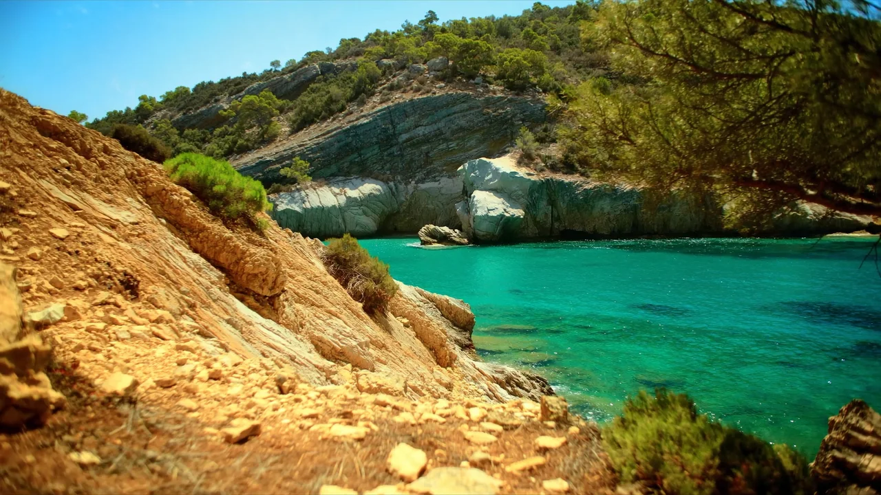 Anthony Quinn Bay
