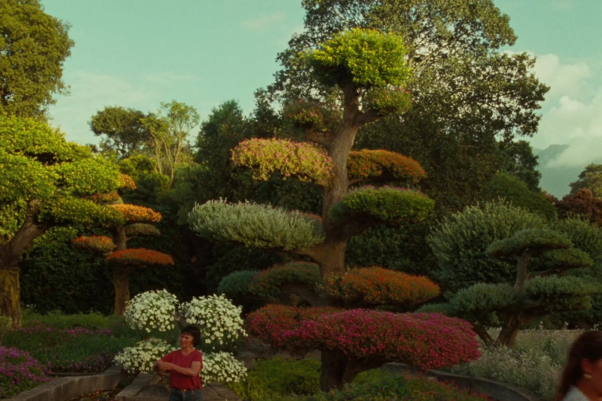Botanischer Garten