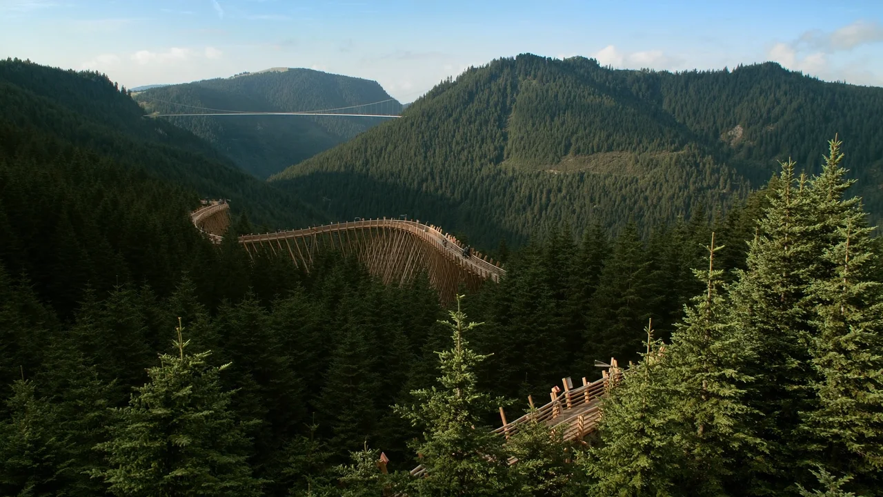 Baumzipfelweg & Golden Gate der Alpen