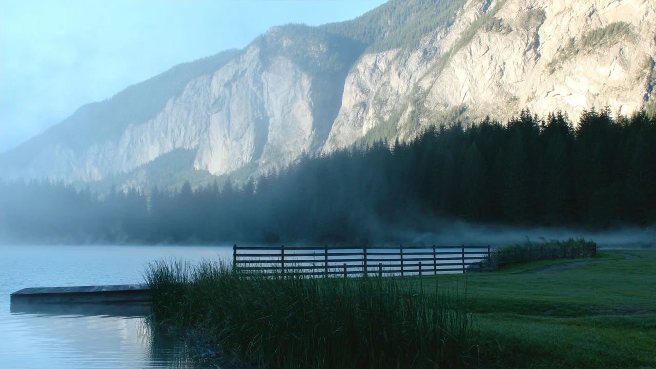 Wildsee