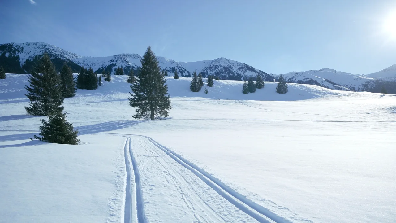 Loipen auf dem Seefelder Plateau
