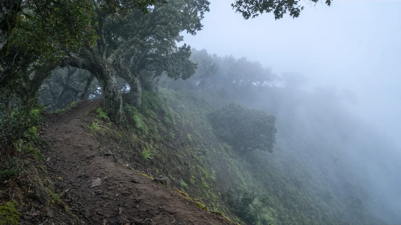 Anaga-Gebirge