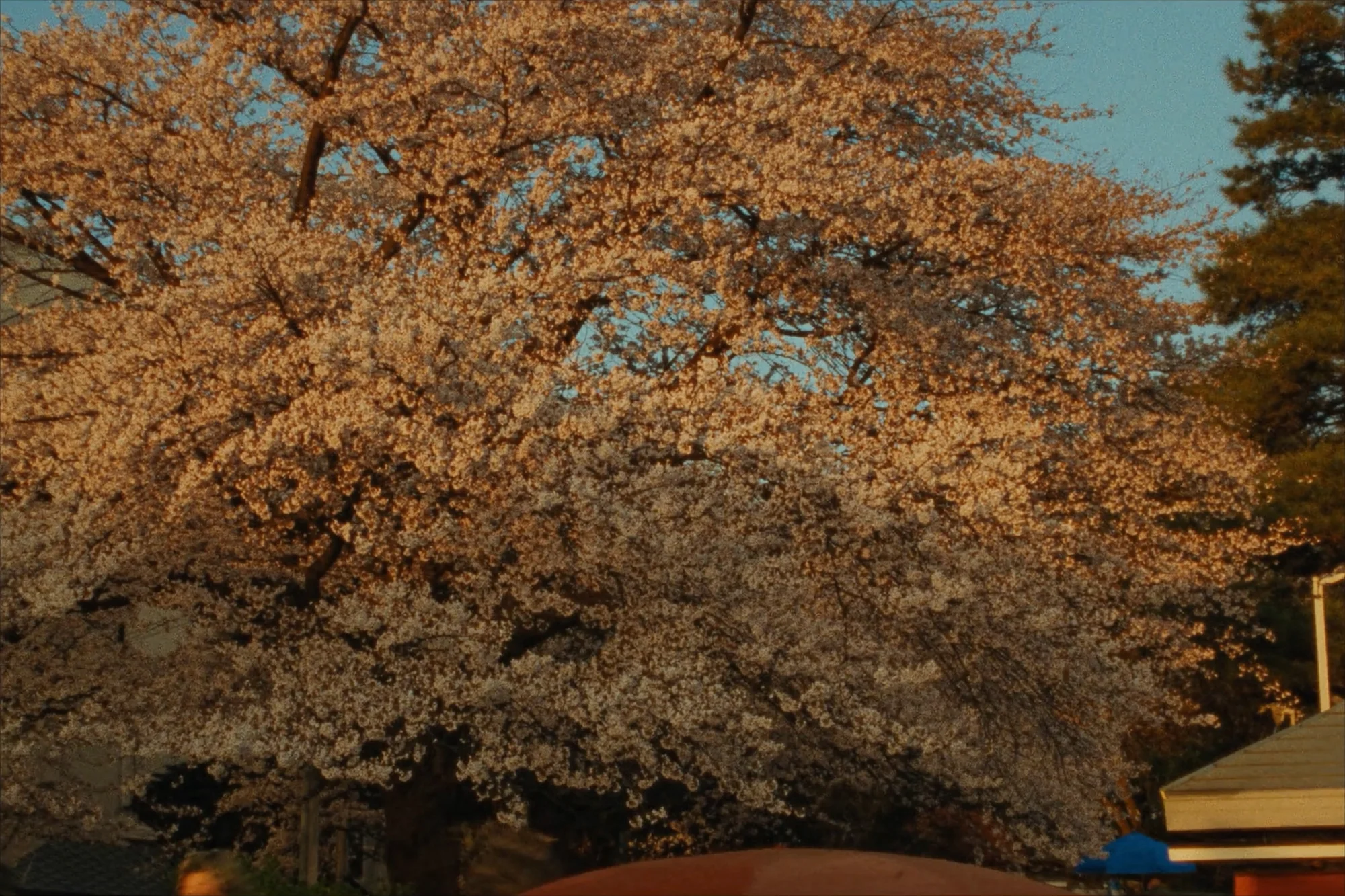 Ueno-Park
