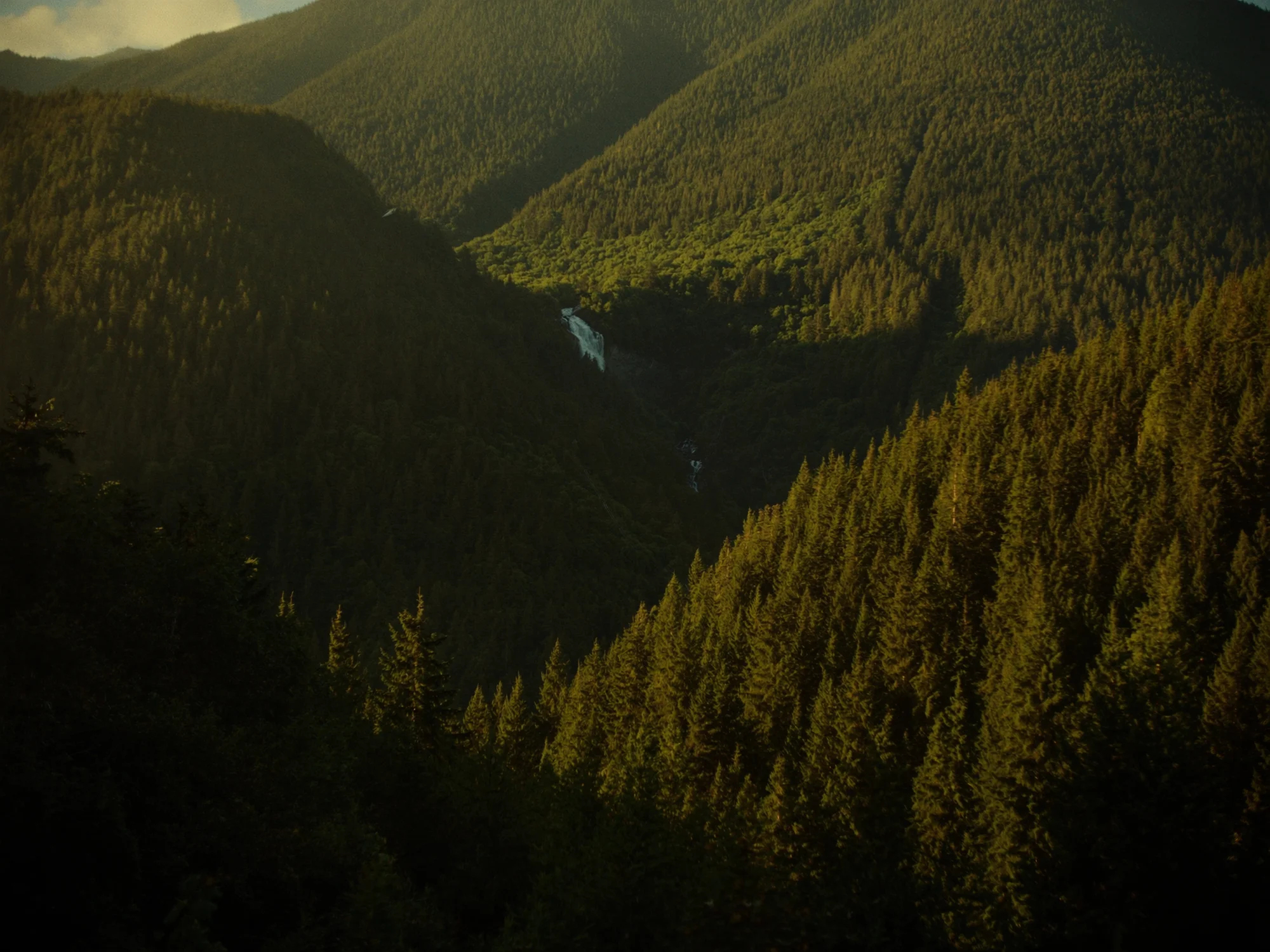 Schwarzwald