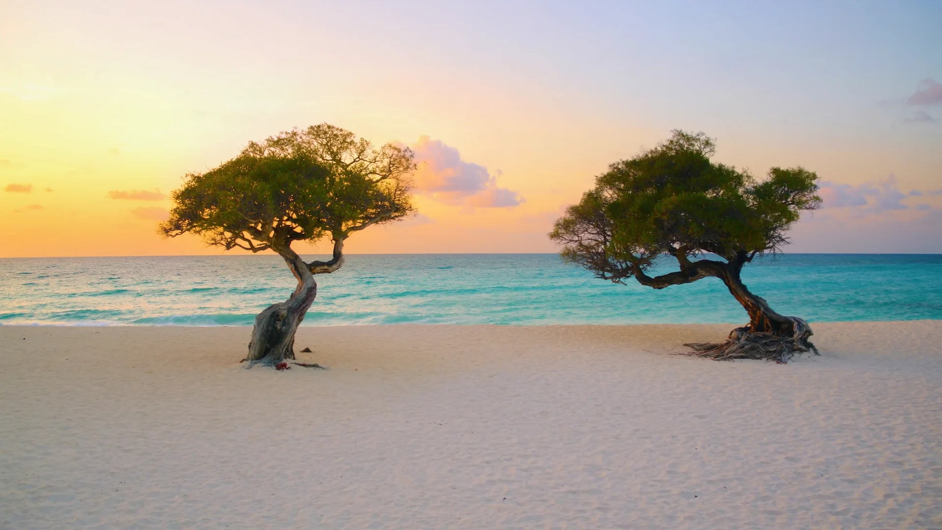Aruba