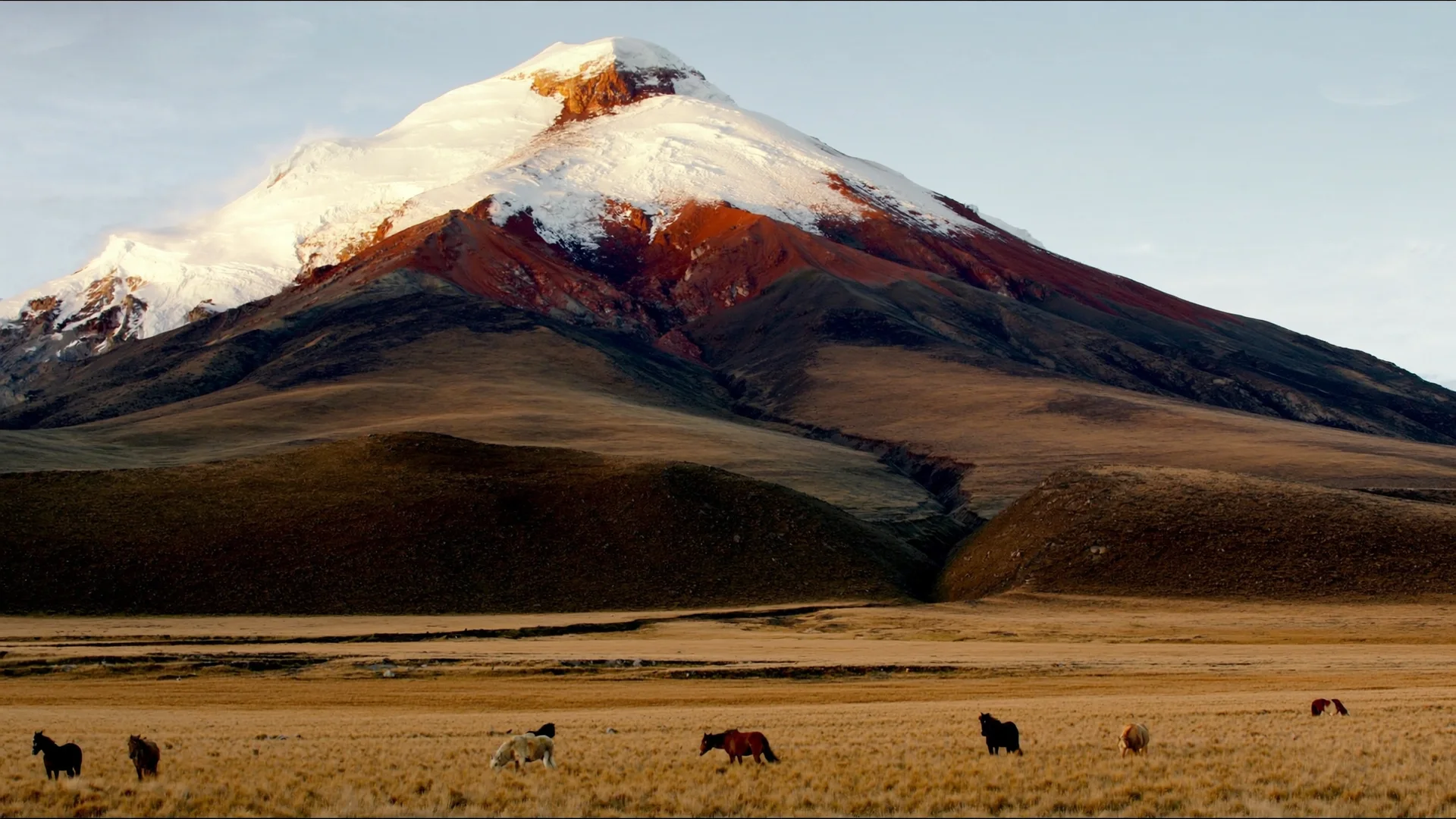 Ecuador