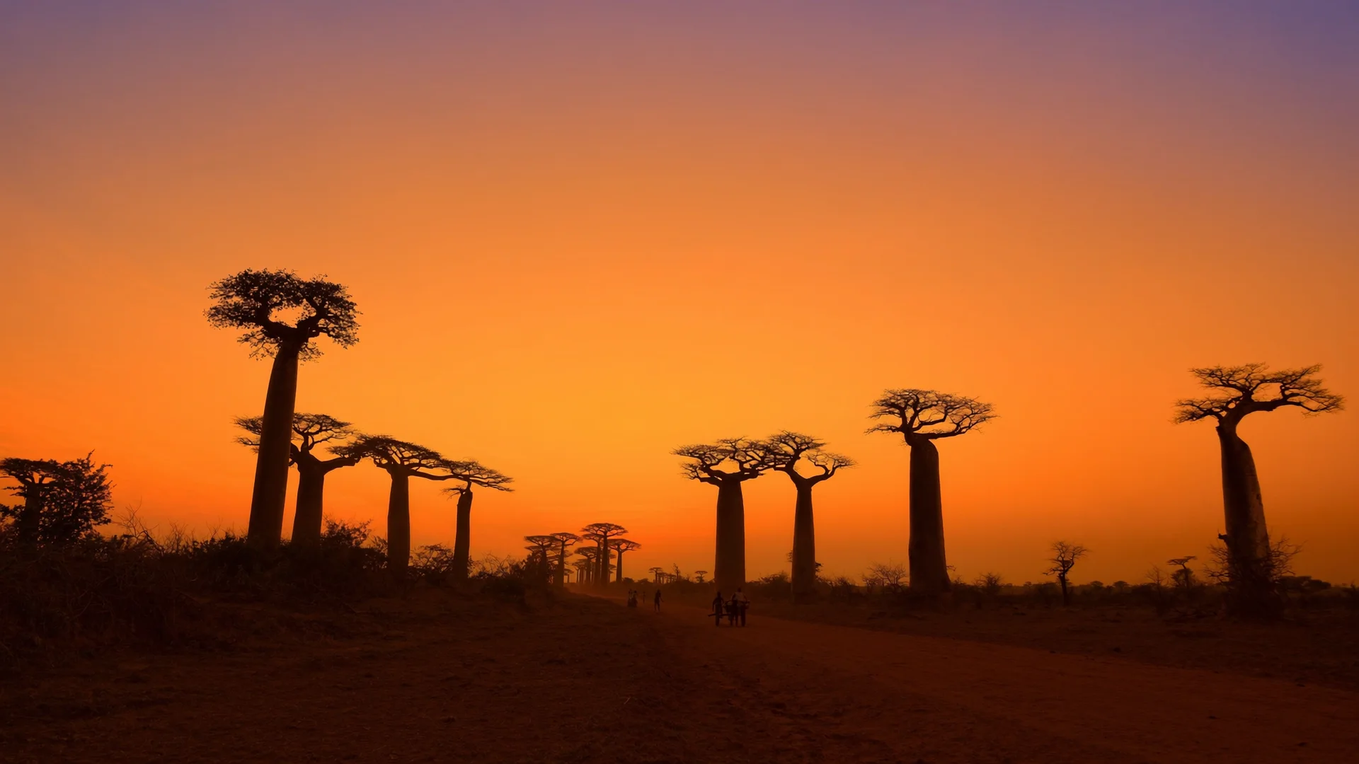 Madagaskar