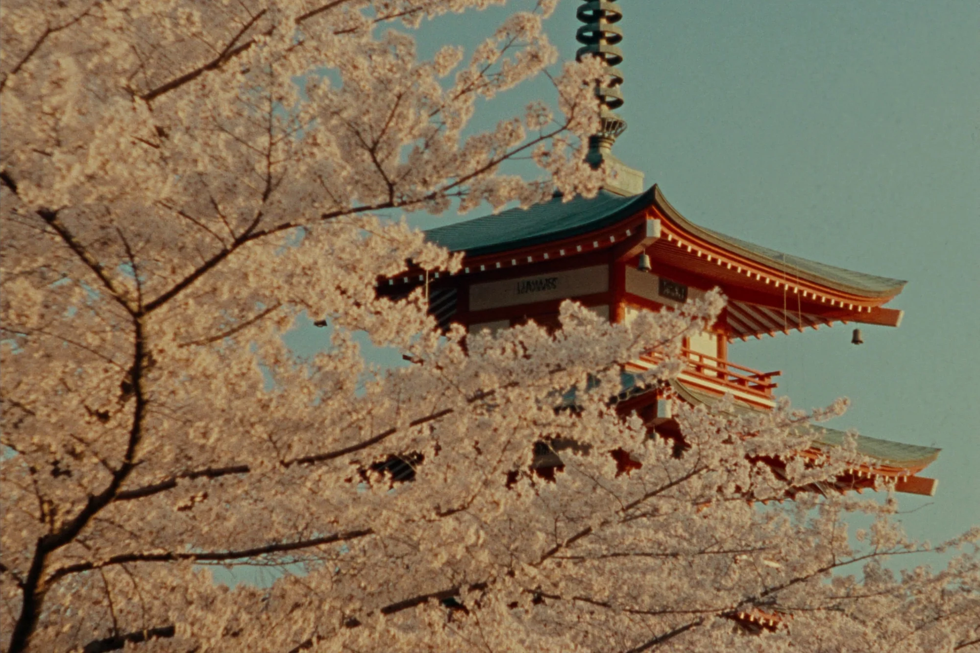 Die wichtigsten Sehenswürdigkeiten in Japan