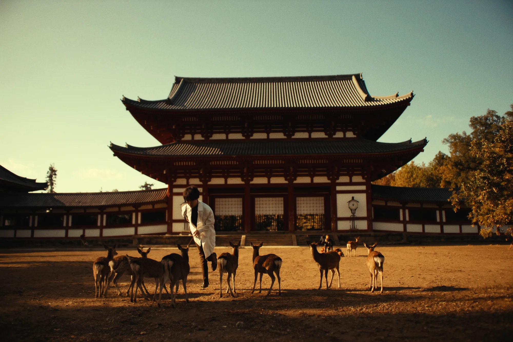 Mit Kindern durch Japan reisen