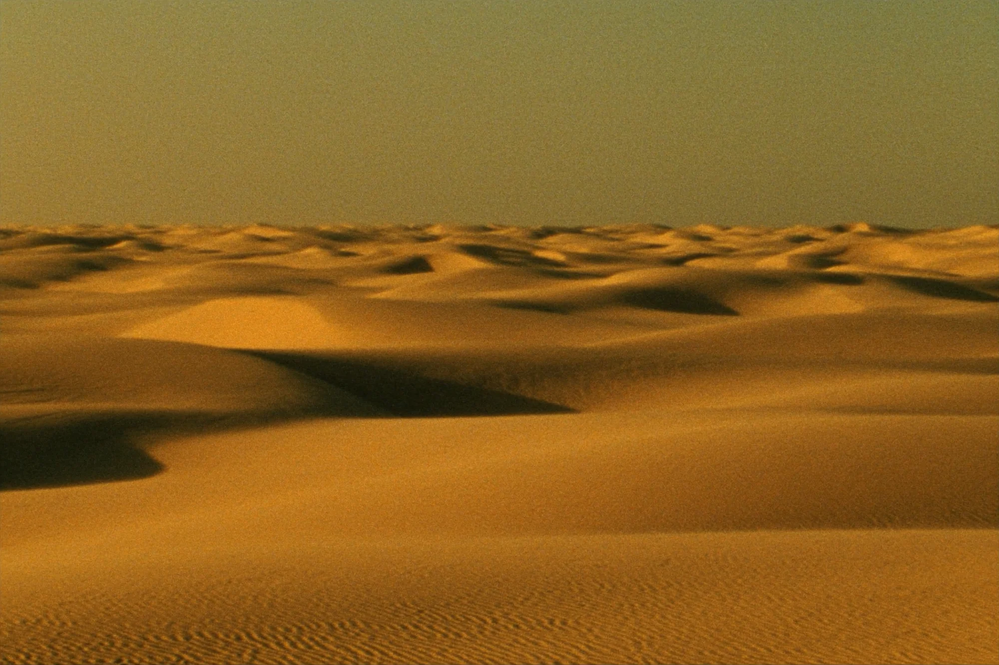Dünen von Viana (Boa Vista)