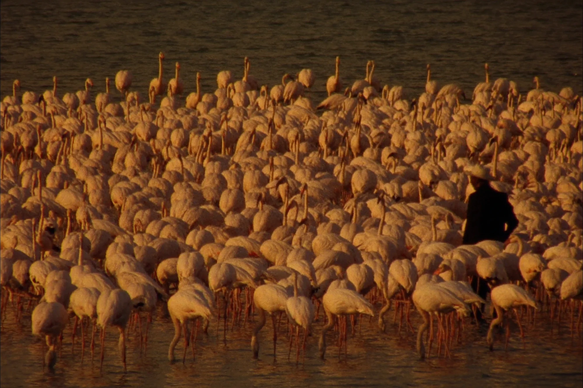 Die wichtigsten Sehenswürdigkeiten in Kenia
