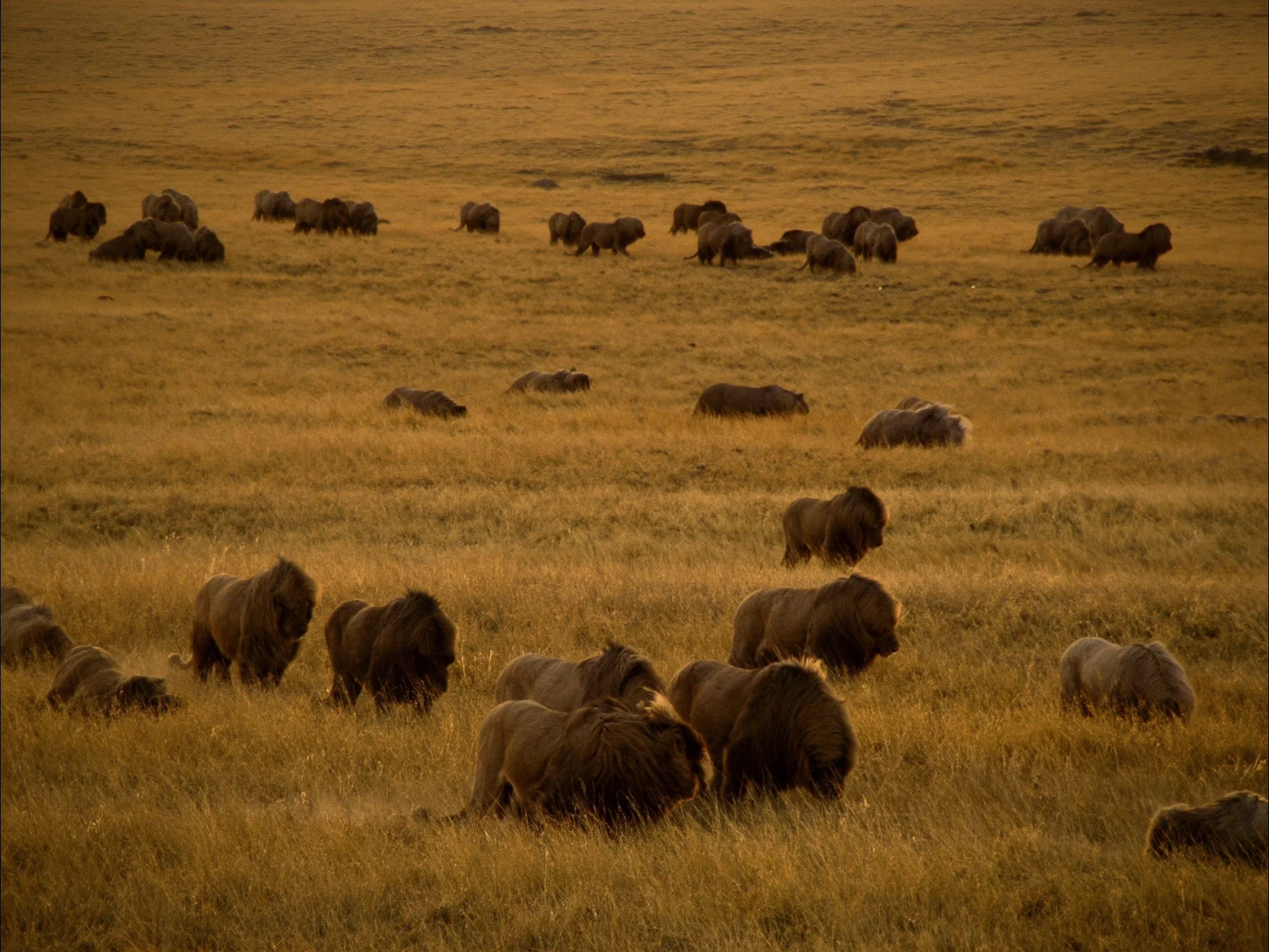 Masai Mara