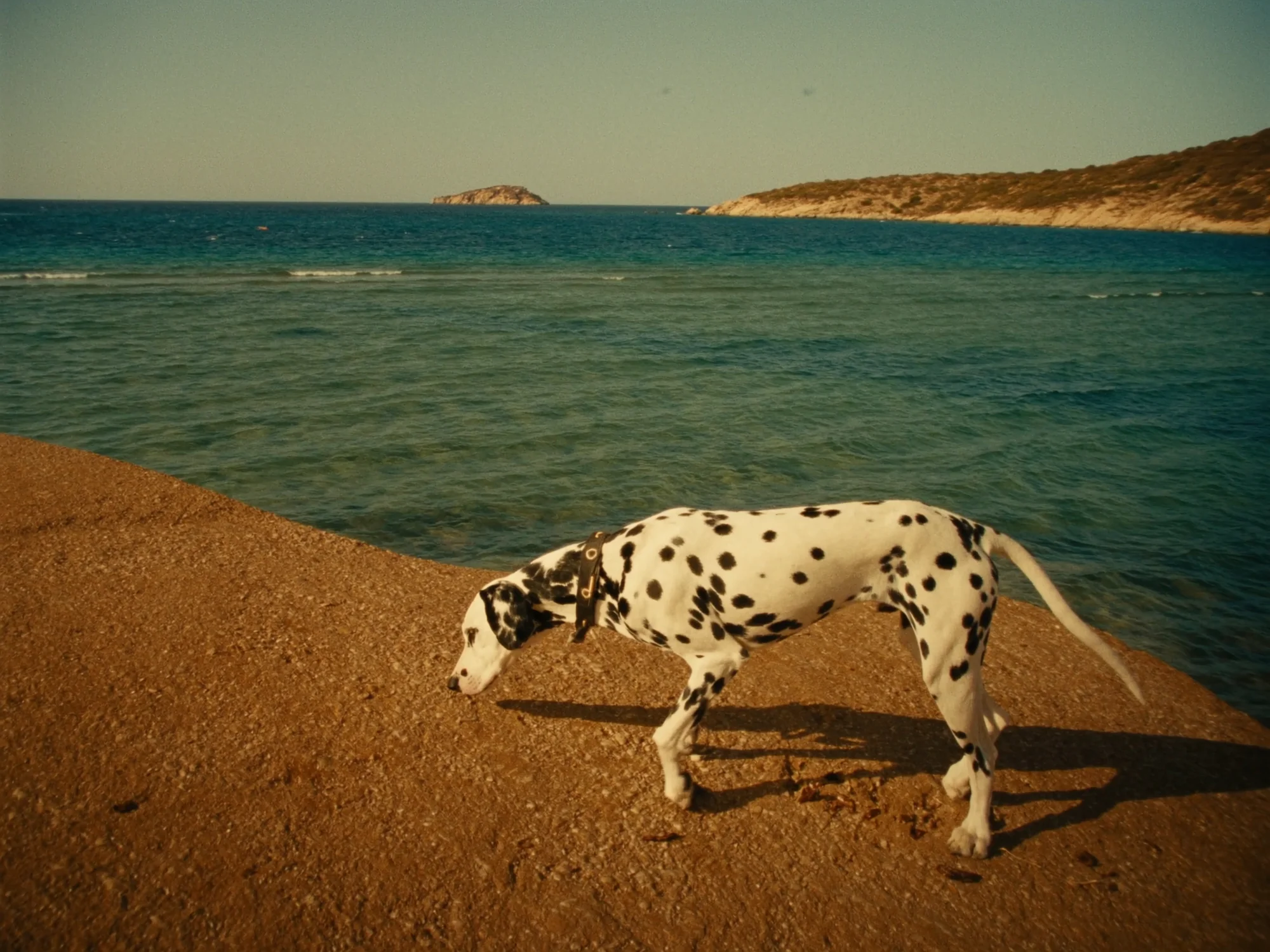 Dalmatien