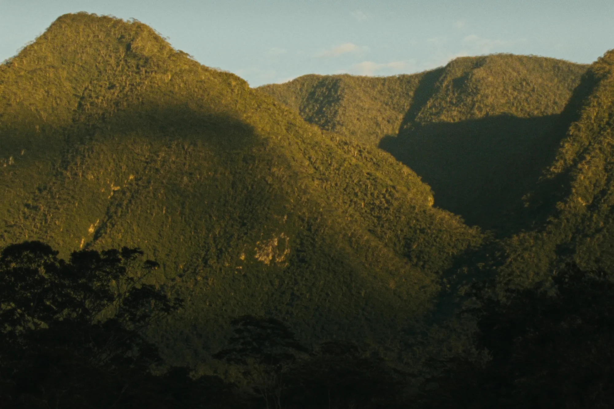 Black River Gorges