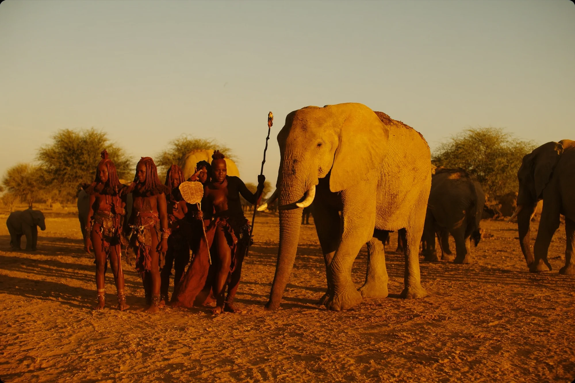 Safari in Namibia und der Etosha-Nationalpark