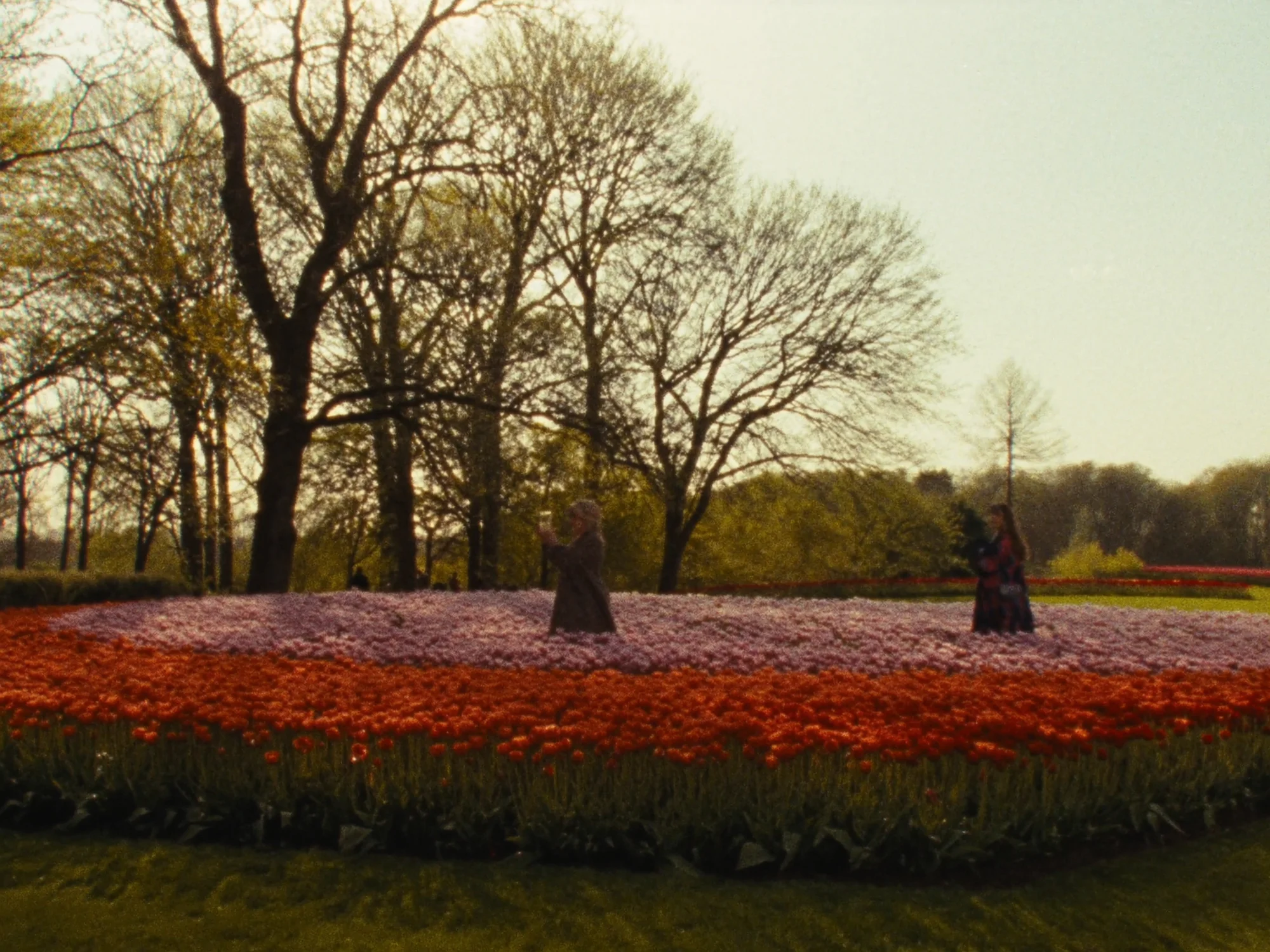 Keukenhof & Tulpen