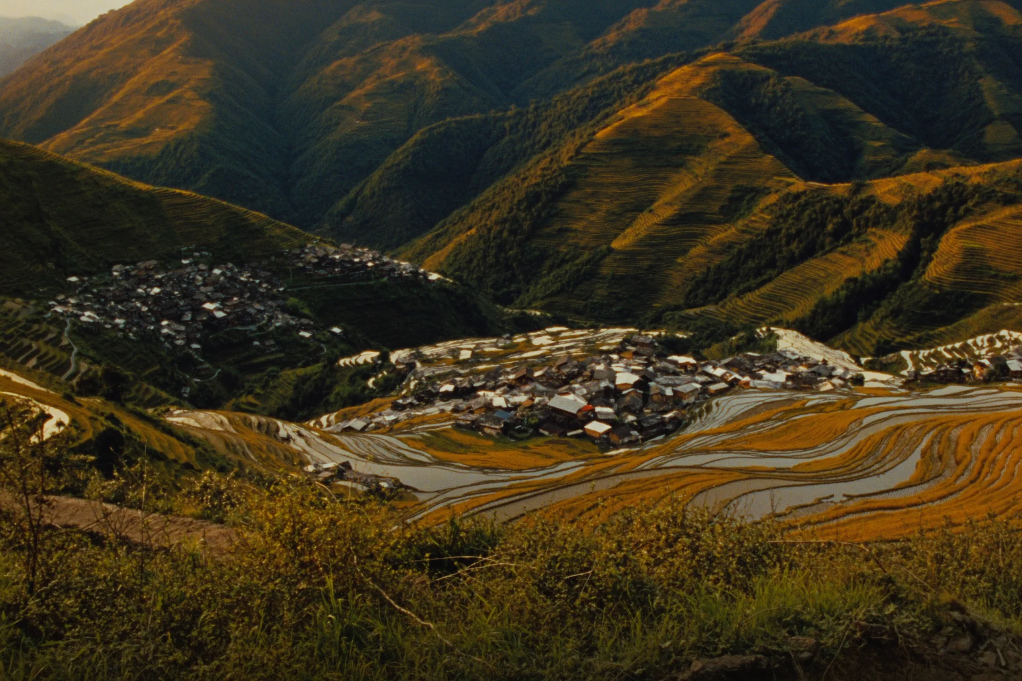 Reisterrassen von Banaue