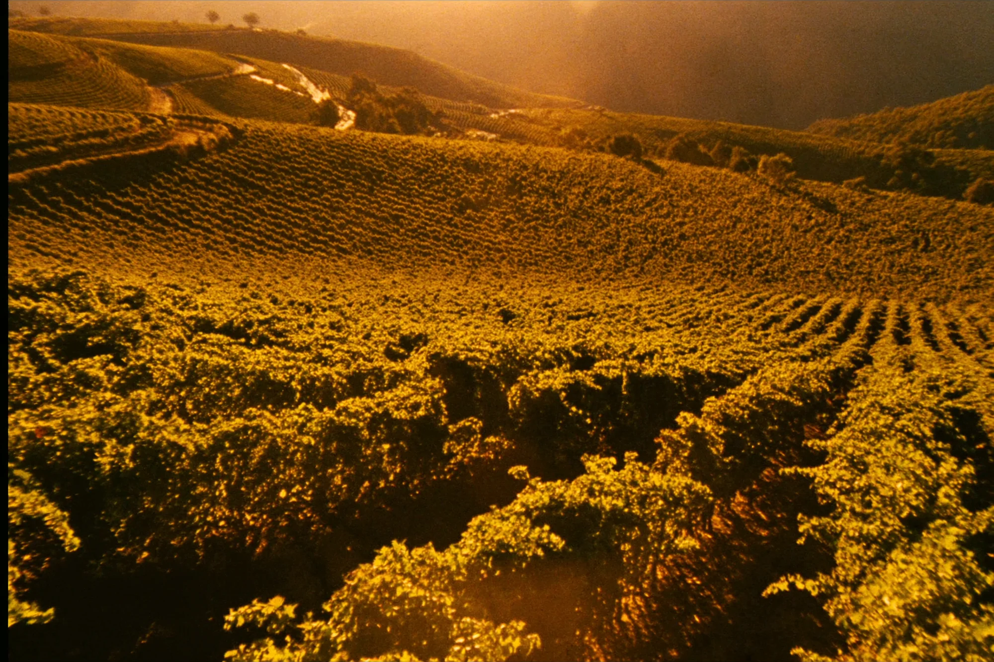 Douro-Tal