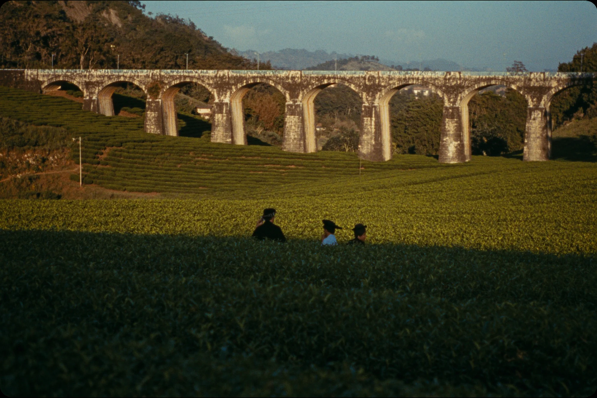 Ella & Nine Arch Bridge