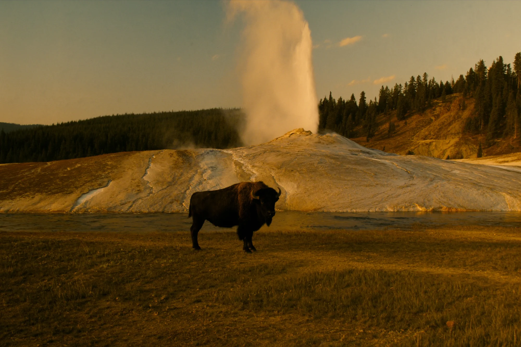 Nationalparks in den USA von Yellowstone bis Zion