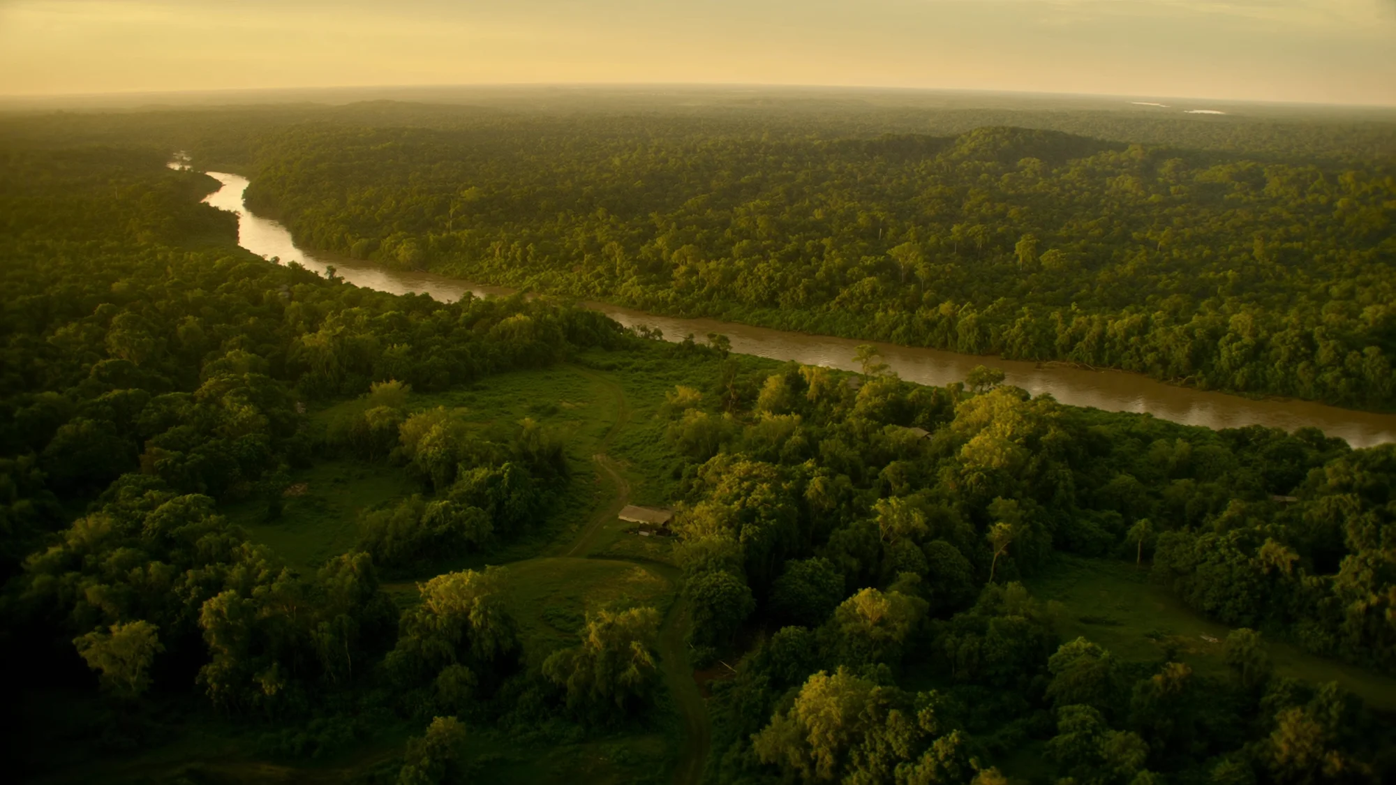 Amazonas