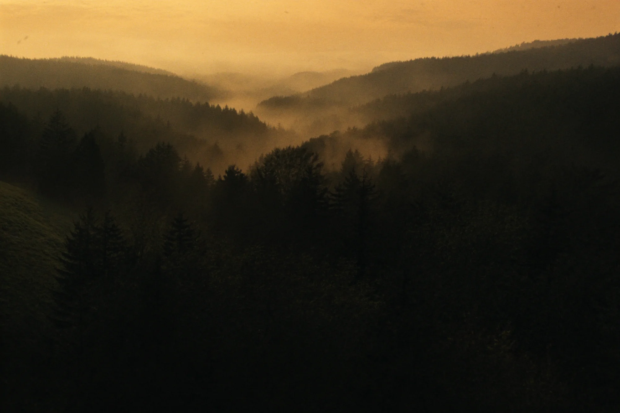 Schwarzwald, Deutschland