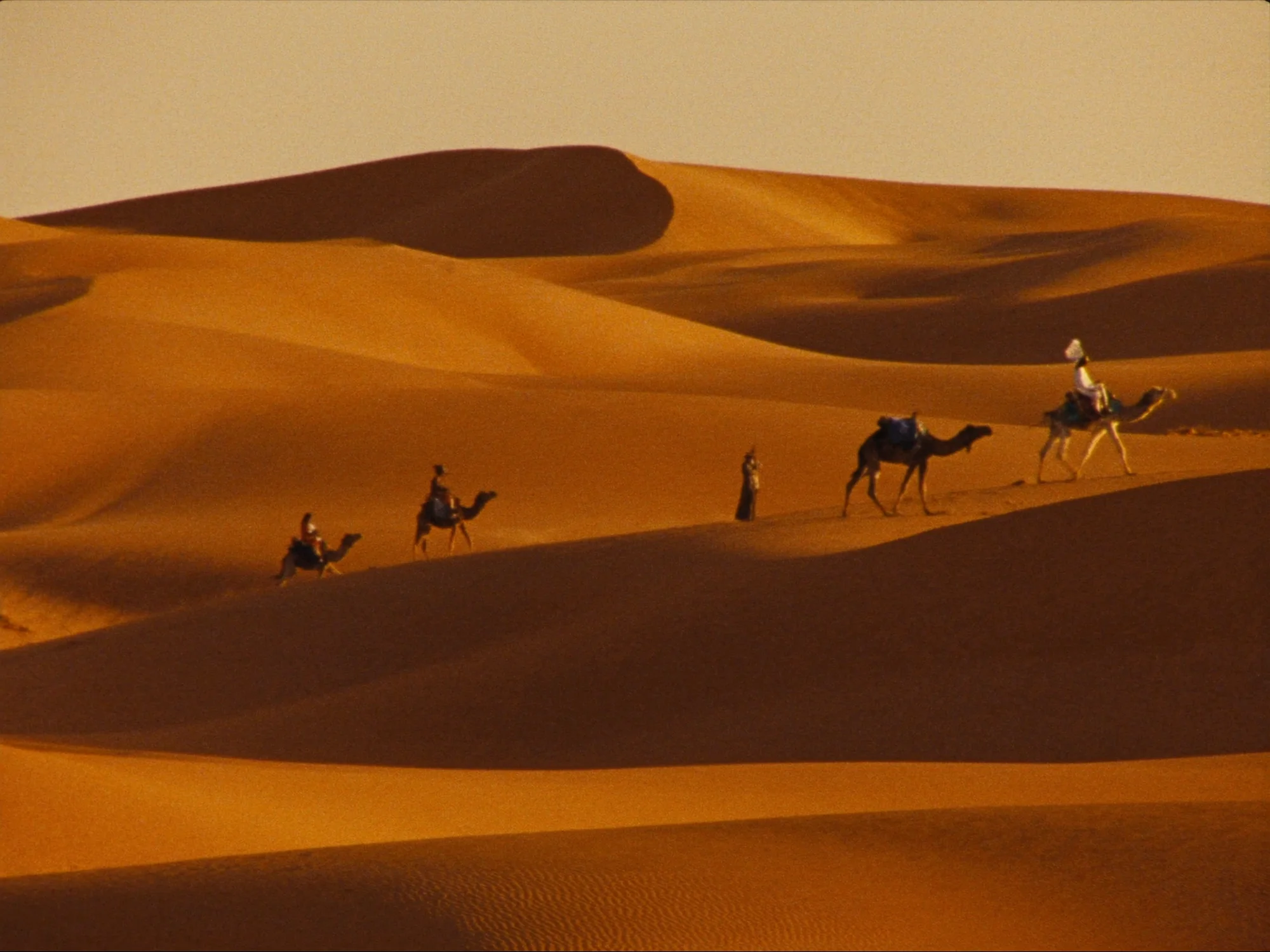 Sahara & Wüste