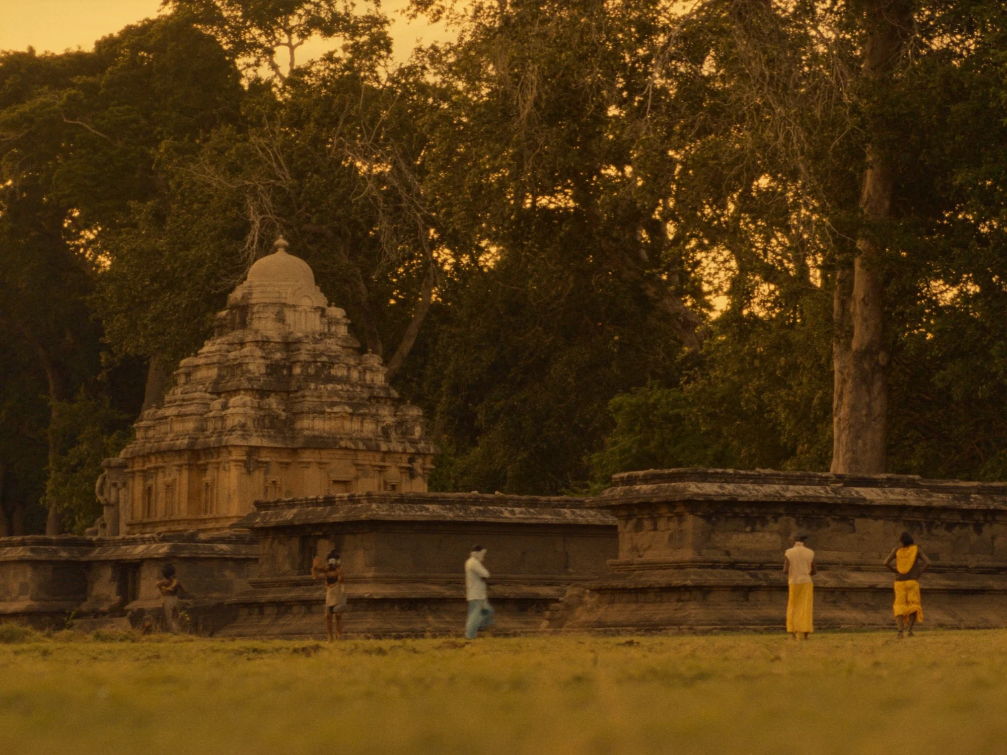 Sri Lanka & Himalaya