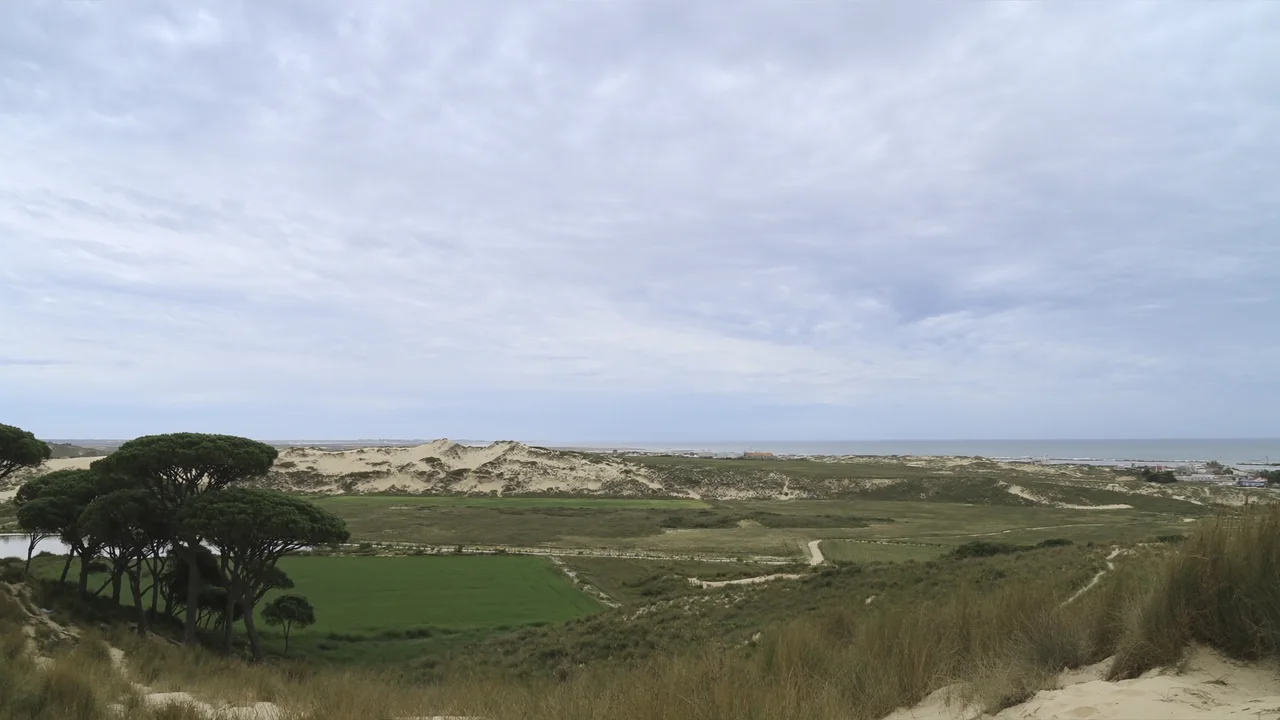 Comporta und seine Reisfelder und Dünenstrände