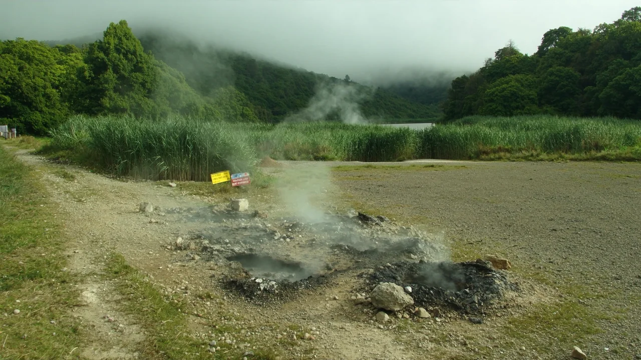 Furnas