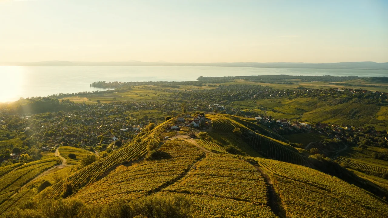 Wein am Nordufer: Badacsony und die Vulkanweine des Balaton